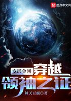变形金刚:穿越领袖之证在线阅读