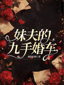 妹夫的九手婚車