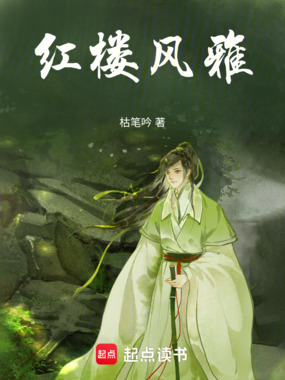 红楼风雅在线阅读