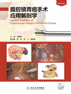 腹腔镜胃癌手术应用解剖学在线阅读