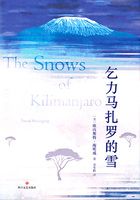 乞力马扎罗的雪在线阅读