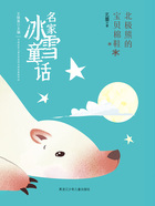 北极熊的宝贝棉鞋(名家冰雪童话)在线阅读