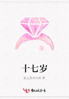 十七歲在線閱讀