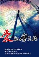 爱的摩天轮在线阅读