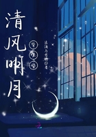 清風明月皆唯你在線閱讀