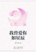 我曾愛你如星辰在線閱讀