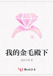 我的金毛殿下