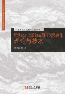 層狀鹽巖溶腔儲庫原位溶浸建造理論與技術