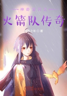 神奇宝贝之火箭队传奇在线阅读