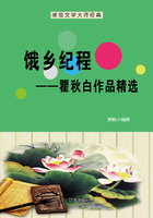 饿乡纪程：瞿秋白作品精选（感悟文学大师经典）