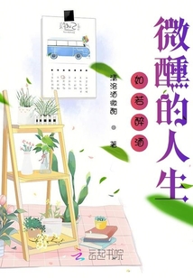 如若醉酒微醺的人生