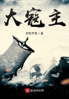 大寇主在线阅读