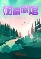树洞旅馆在线阅读