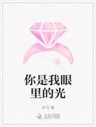 你是我眼里的光在线阅读