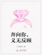 奔向你,义无反顾在线阅读