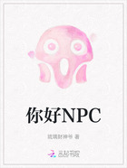 你好NPC