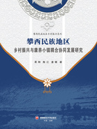 攀西民族地区乡村振兴与康养小镇耦合协同发展研究在线阅读