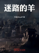 迷路的羊在线阅读