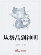 从祭品到神明在线阅读
