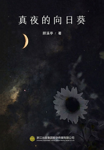 真夜的向日葵(推理罪工场)