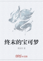 终末的宝可梦