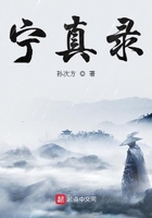 寧真錄在線閱讀