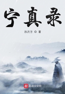 寧真錄