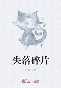 失落碎片