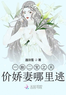 一胎二寶之天價嬌妻哪里逃