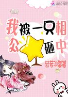 我被一只相公砸中在線閱讀