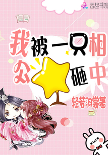 我被一只相公砸中