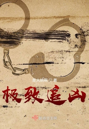 极致追凶在线阅读