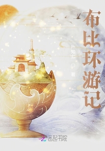 布比環游記