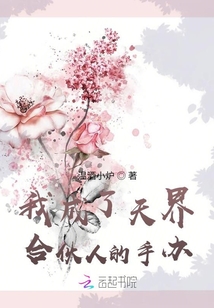 我成了天界合伙人的手辦