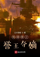 琅琊榜之誉王夺嫡