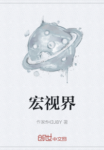 宏視界