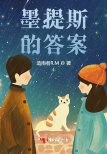 墨提斯的答案