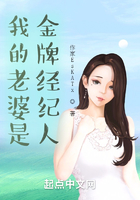 我的老婆是金牌經(jīng)紀(jì)人在線閱讀