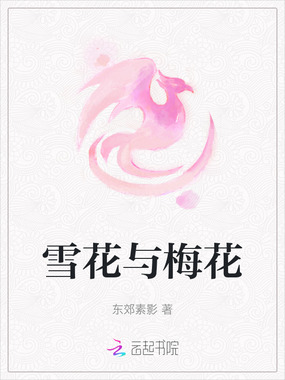 雪花与梅花在线阅读