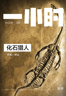 化石獵人(知乎「一小時」系列 HOUR:037)