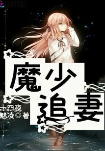魔少追妻