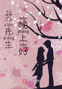 蘇先生，晚上好！