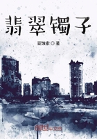 翡翠鐲子在線閱讀