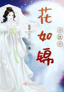 花如锦识放翁