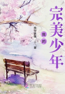 我的完美少年