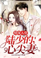 情深入骨:陆少的心尖妻在线阅读