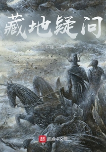 藏地疑問
