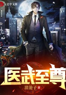 醫(yī)武至尊