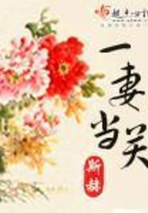一妻当关