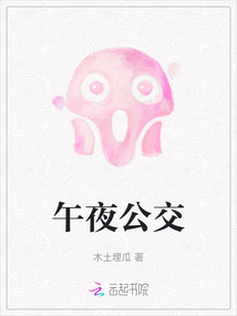 午夜公交